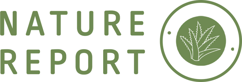 Natural Report | ناتشورال ريبوت